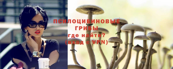 a pvp Богданович