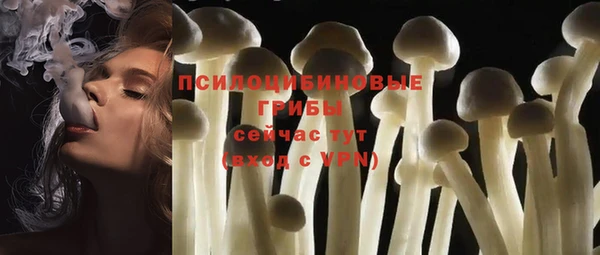 экстази Богородск