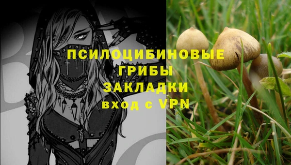 мескалин Богородицк