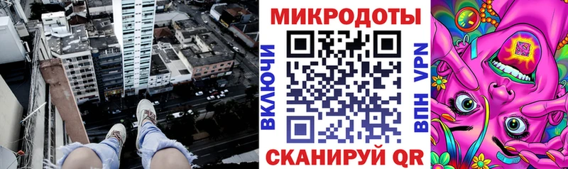 хочу Городец Псилоцибиновые грибы Cubensis