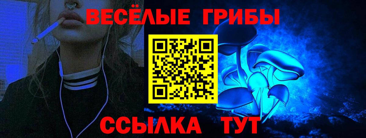Галлюциногенные грибы Psilocybe Городец